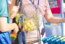 support ticket identification number