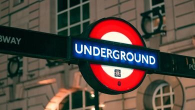 comprehensive analysis of 3533601683