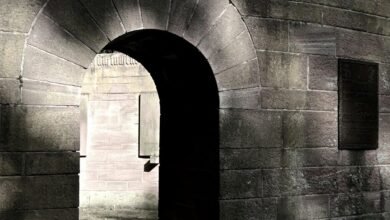 erp portal login information