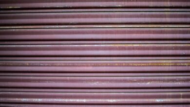 inbanithi age biography details