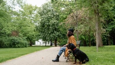 myuday login access guide