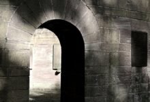 udsm portal login information