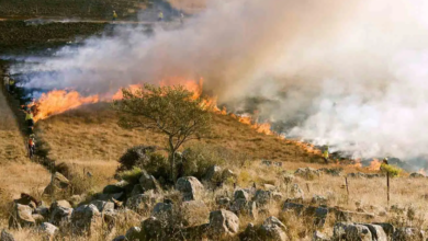 Building Safely in Fire-Prone Areas: Understanding Bushfire Assessment Reports