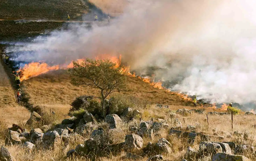 Building Safely in Fire-Prone Areas: Understanding Bushfire Assessment Reports
