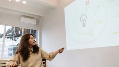 corporate insights and projections