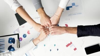 executive analytics data summary